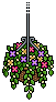 Garden Hanging Flowers