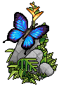 Exotic Butterfly