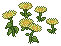 Yellow Delight