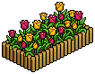 Garden Flower Bed