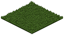 Garden Mowed Grass