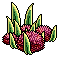 Duck Grass