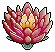 Star Flower