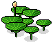 Garden Leaves