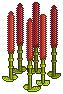 Rampaging Red Rush