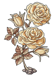 Enchanted Blooming Roses
