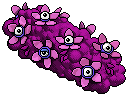 Weird Staring Bush