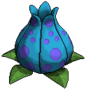 Volcano Flower