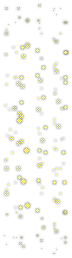 Solid Gold Snow