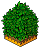 Hedge Corner