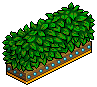 Hedge Divider