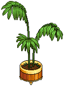 Giant Houseplant