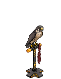 HC Hawk