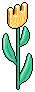 HC Tulip Decor