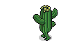 Bobba Cactus