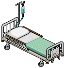 Hospital Bed