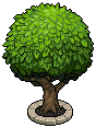 Round Tree