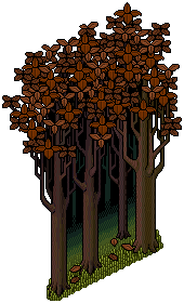Haunted Forest