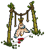 The Chicken of Doom
