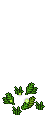 Fireflies