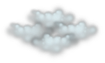 Swamp Fog