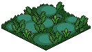 Swamp Patch