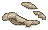 Snake skin