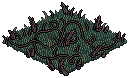 Thorny grass