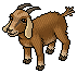 Lamancha Goat