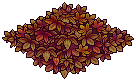 Autumn Forest Floor