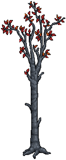 Birch Tree