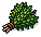 Fragrant Herbs