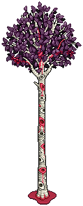 Bleeding Aspen Tree