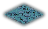 Stoney Courtyard Floor