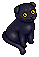 Salem