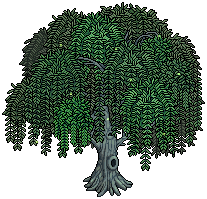 Weeping Willow