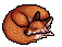 Dozing Fox
