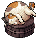 Onsen Stray Cat