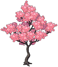 Sakura Season Tree
