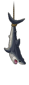 Great White Shark