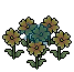 Yellow Primrose