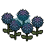 Blue Dahlia