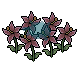 Red Starflower