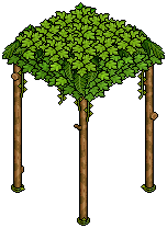 Leafy Roof
