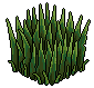 Long Grass
