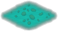 Tropical Pond