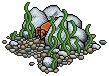 Crab Patch