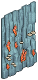 Coral Wall