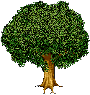 lidotree1 name