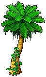 Palm Tree
